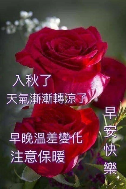 按我可連結至更清楚的圖片